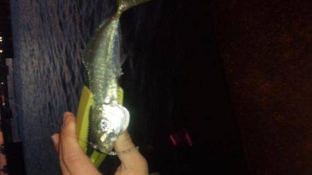 全然だめです。