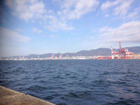 タチウオのみー