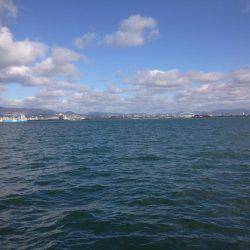 タチいちサゴいち