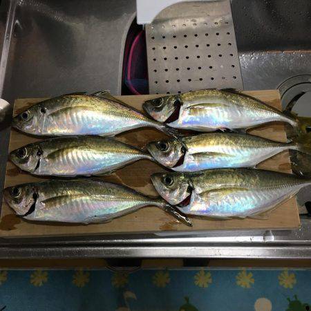 ハゲはダメでしたがー！