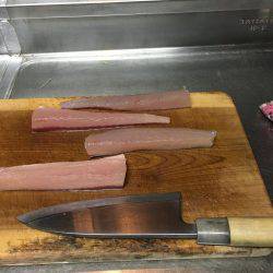 サゴシが釣れました