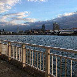 久し振りの良型