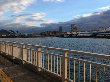 久し振りの良型