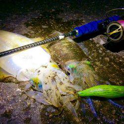 短時間エギング