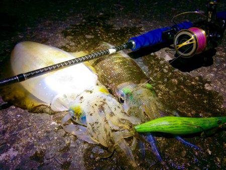 短時間エギング