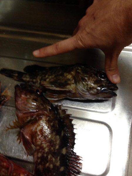 クリスマスロック！