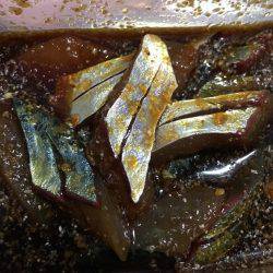 サワラいつか必ず