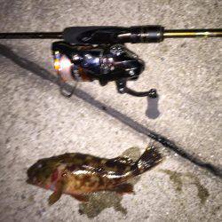 ライトゲーム島