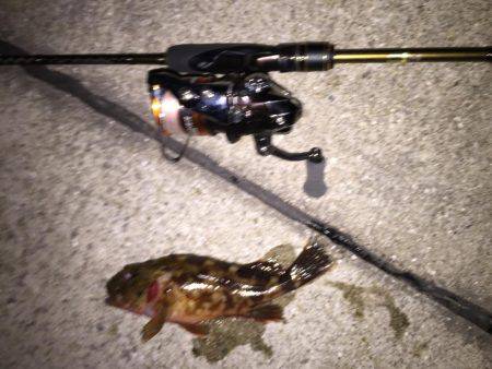 ライトゲーム島