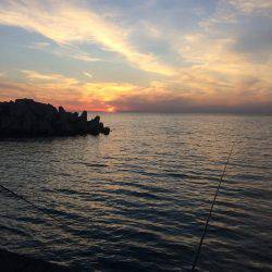 i wish your merry christmas