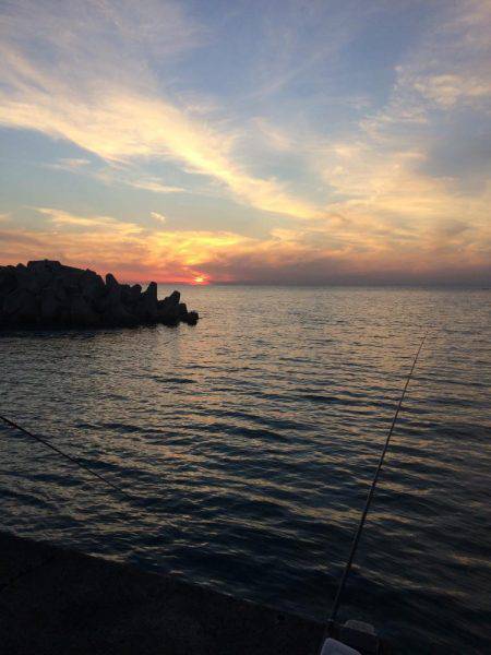 i wish your merry christmas