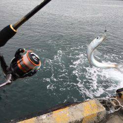 釣り納めません