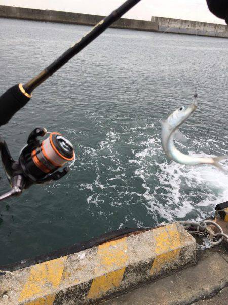 釣り納めません