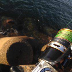 まだまだ太刀魚はいます！