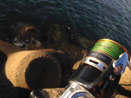 まだまだ太刀魚はいます！