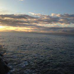 今年最後の刀狩り