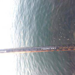 まだ太刀魚釣れる？