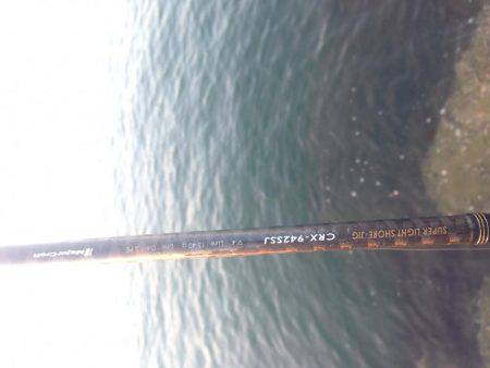 まだ太刀魚釣れる？