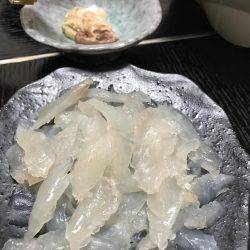 カワハギ釣り