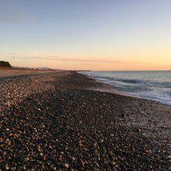 新宮市でサゴシ爆釣！