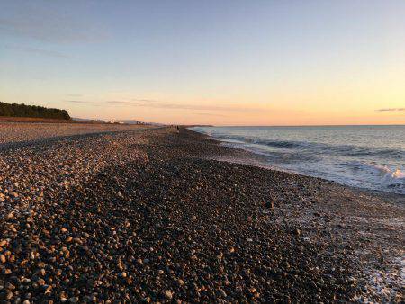 新宮市でサゴシ爆釣！