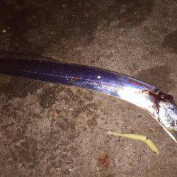 タッチー渋かった^^;