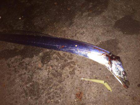 タッチー渋かった^^;