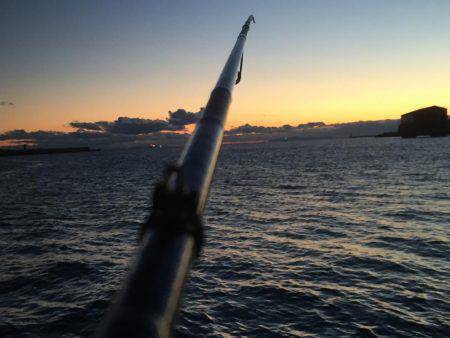 初ドラゴン〜〜まさかのバラシ(>_<)