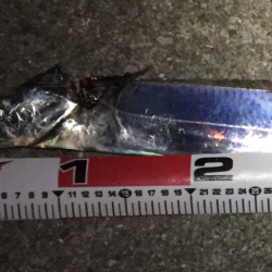 満月の太刀狩り