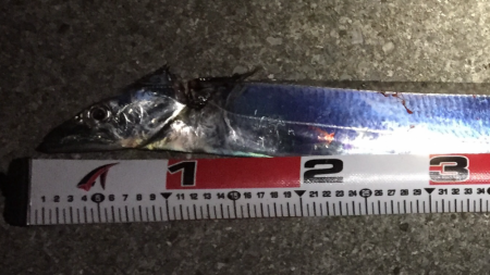 満月の太刀狩り