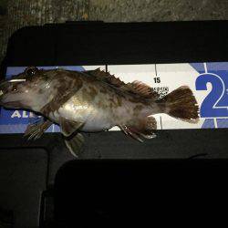 連日のガシリング(^.^)