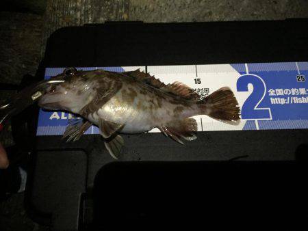 連日のガシリング(^.^)