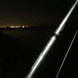 連日連夜のロックフィッシュ^^;