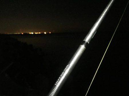 連日連夜のロックフィッシュ^^;