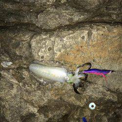 釣り三昧な連休でした