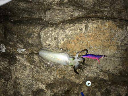 釣り三昧な連休でした