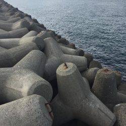 釣り納め穴釣り