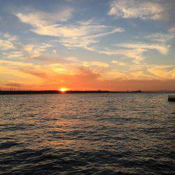 タチウオ⤵︎根魚↑