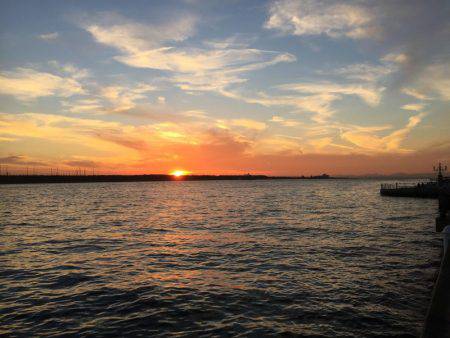 タチウオ⤵︎根魚↑