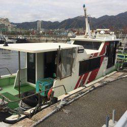 サゴシ累計51本目