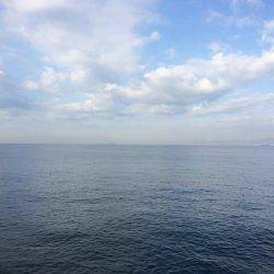 サゴシ累計54本目