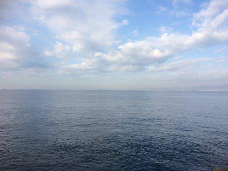 サゴシ累計54本目