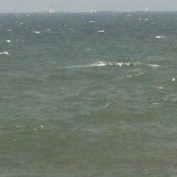 自分を食ったらアカンよ！