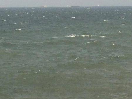 自分を食ったらアカンよ！