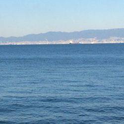 サゴシ累計56本目