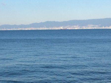 サゴシ累計56本目