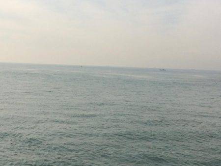 太刀魚は底にいるよー