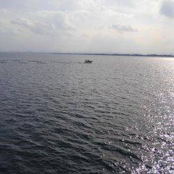 やっと釣れたー