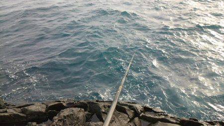 潮岬でグレ釣り