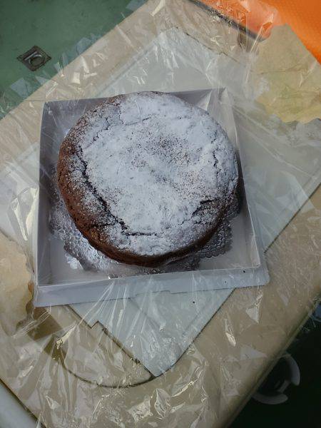 尾鷲でイカメタル